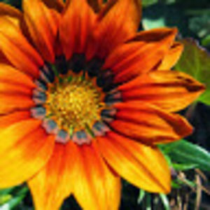 Meet your Posher, Stacey